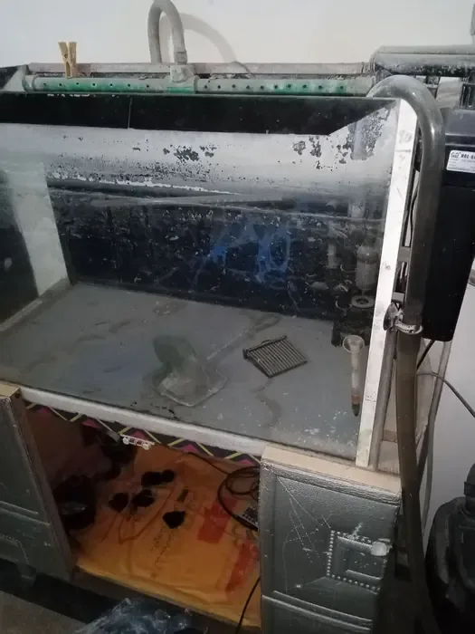 42 Gallon Fish Aquarium for Sale