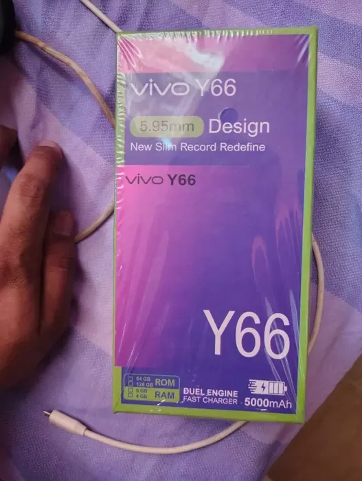 Vivo y 66