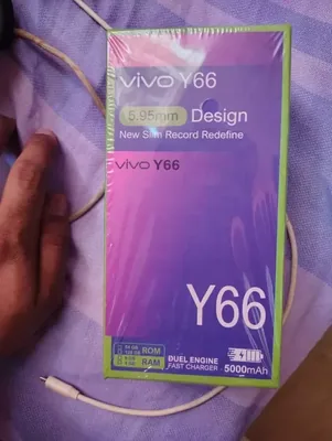 Vivo y 66
